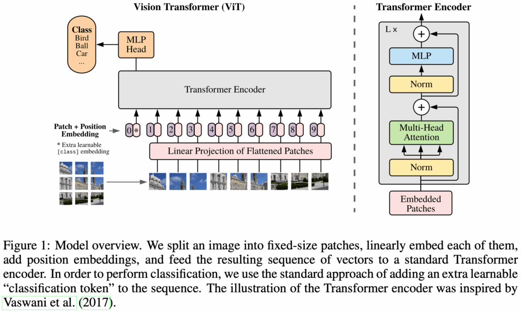 Vision Transformer (source from An Image is Worth 16x16 Words- Transformers for Image Recognition at Scale).